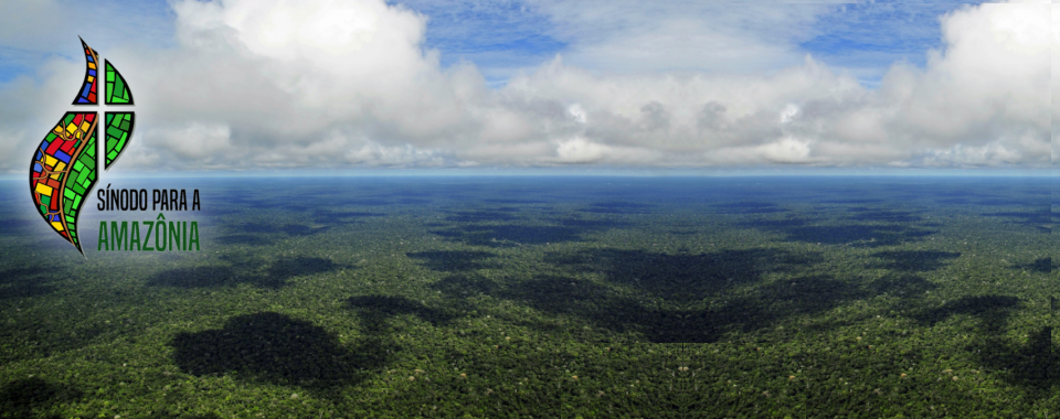 Papa divulga Exortação pós sinodal “Querida Amazônia” dia 12