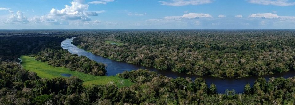 Os “grandes sonhos” de Francisco para a Amazônia